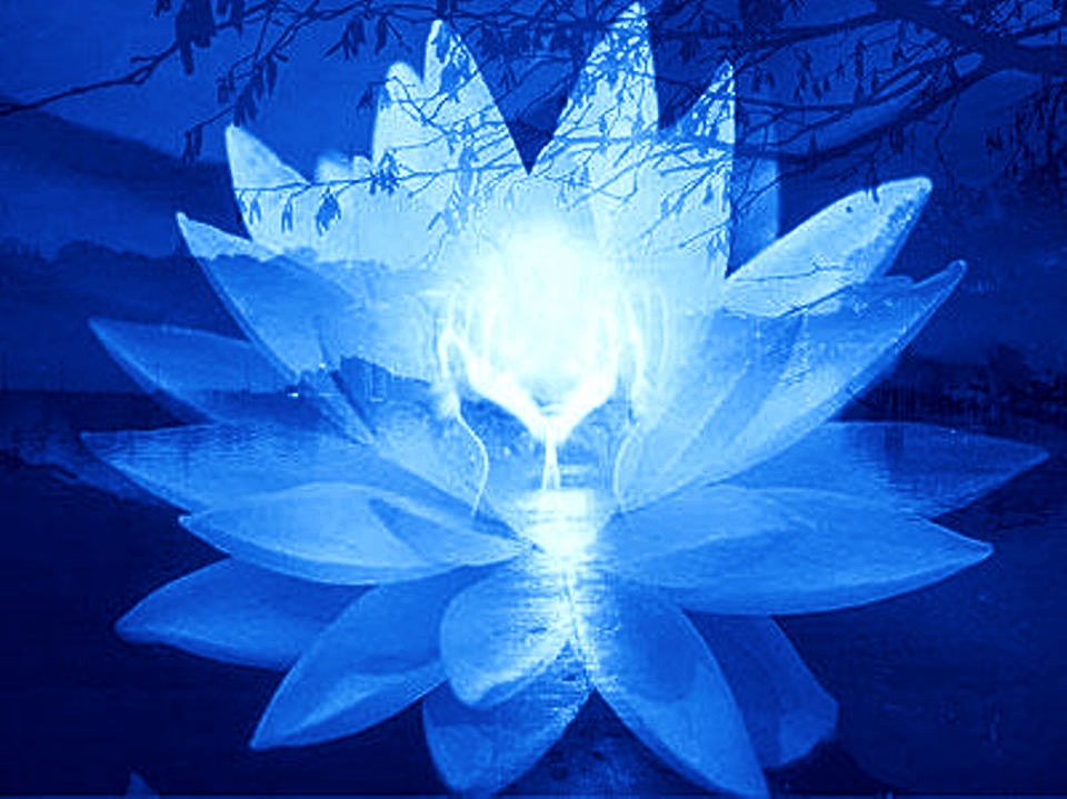 Awakening Of The Lotus