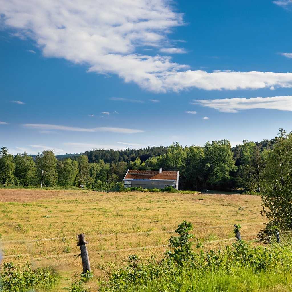 Hemlängtan till Sveriges famn